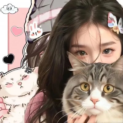 金陵御猫